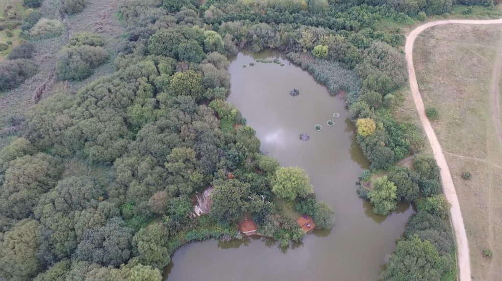 CRF lake 4, Tithe Bottom and Alver Valley – Sunday 1st November 2020